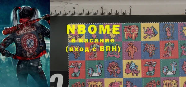 прущие грибы Медногорск