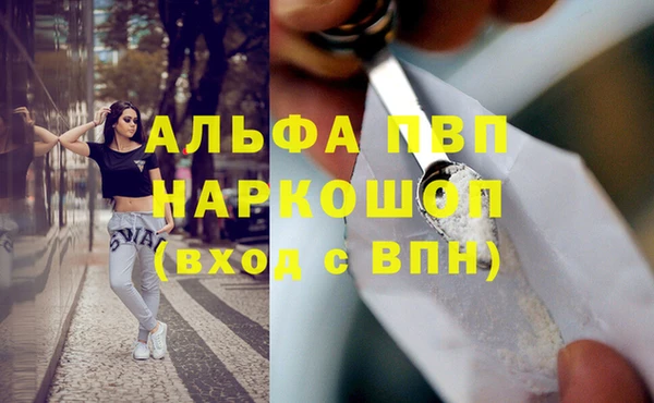 прущие грибы Медвежьегорск