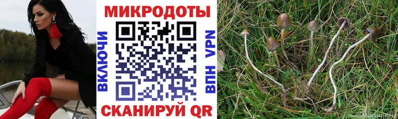 где продают наркотики Тейково Галлюциногенные грибы Magic Shrooms